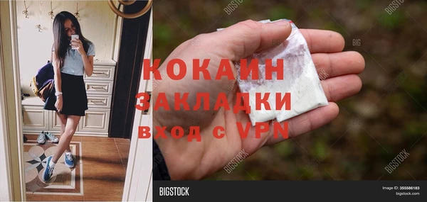 шишки Бронницы